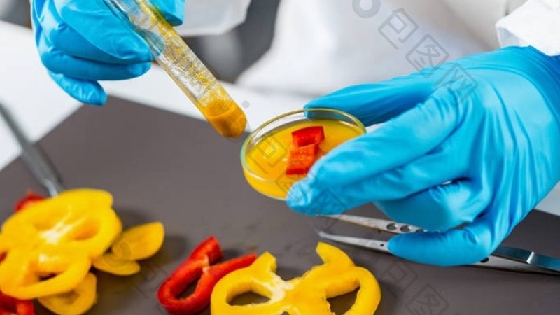 糖果生产厂家原料采购：揭秘原料选择背后的关键因素